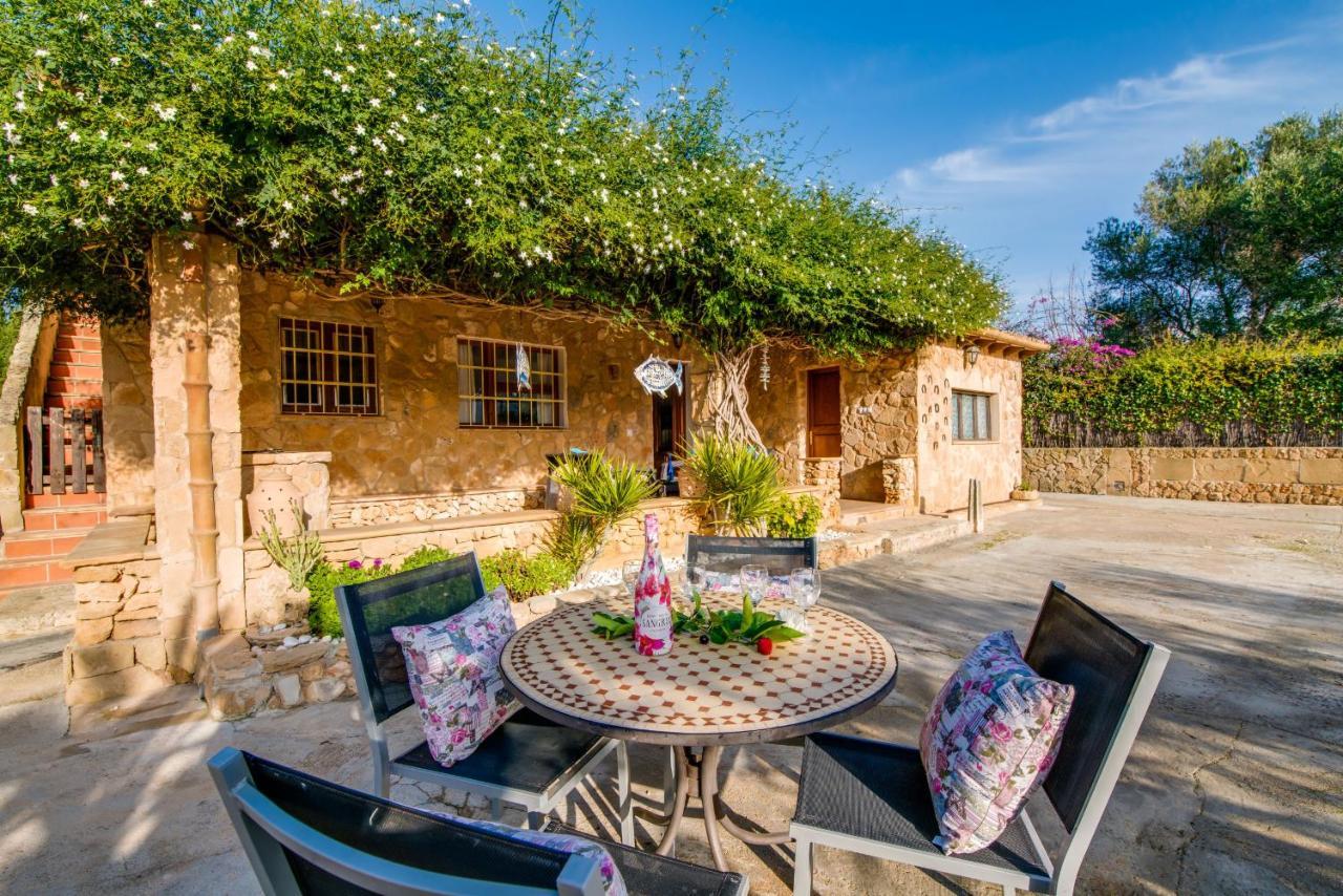 Ideal Property Mallorca - Sa Vinya Vella Alcúdia Buitenkant foto